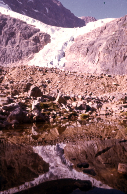 Bob_Tray_13_111