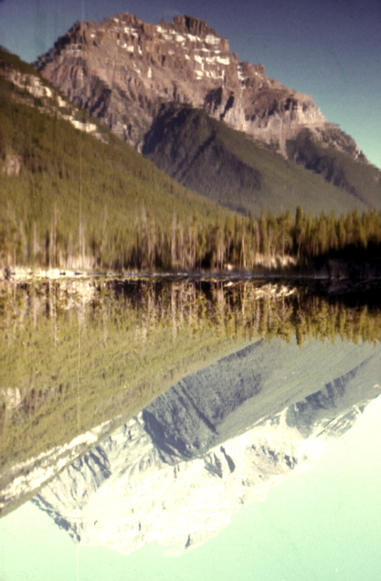 Bob_Tray_13_137