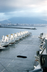 Tray2-072
