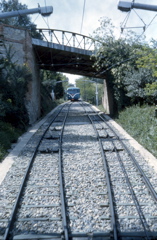 Tray4-067