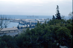 Tray4-071