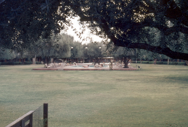 Tray_7_083