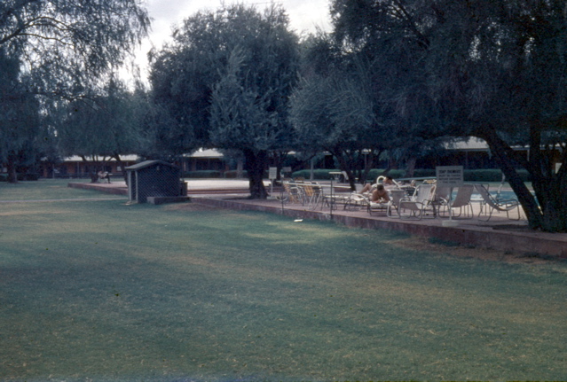 Tray_7_087