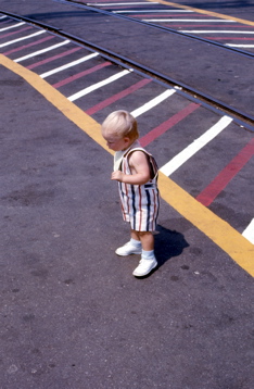 Bob_Tray_14_087